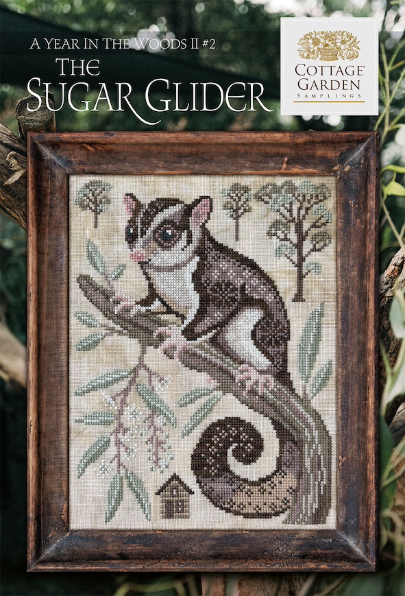 Year In The Woods II - The Sugar Glider